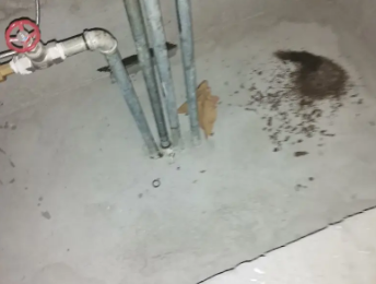 连江卫生间测漏水价格明细