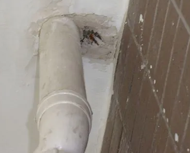 连江漏水检测哪家好